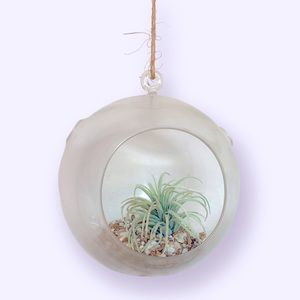 Large Glass Orb Plant Atrium